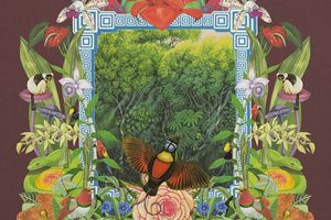 Album Notes - Monster Rally - Botanical Dream