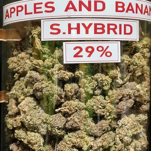 Apples & Bananas (Flower)