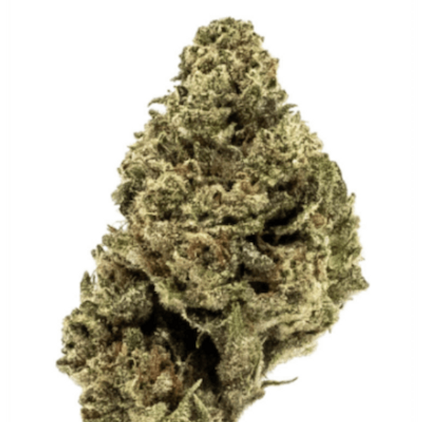 MEDICAL $40 OZ  EZ BAKED (Out the Door)